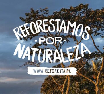 EPSON continúa adopción de árboles nativos en el Perú